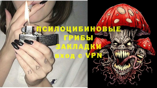 СК Абдулино
