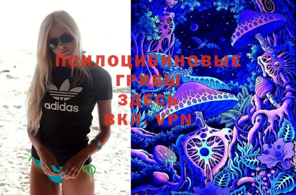 СК Абдулино