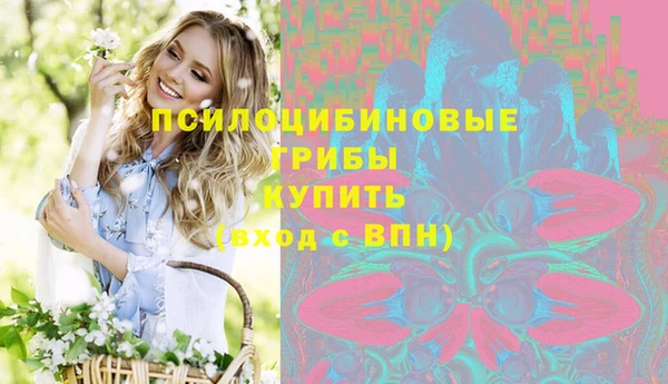 винт Абинск