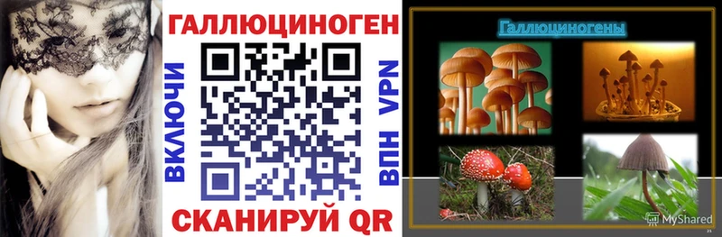 Галлюциногенные грибы MAGIC MUSHROOMS  Алапаевск 
