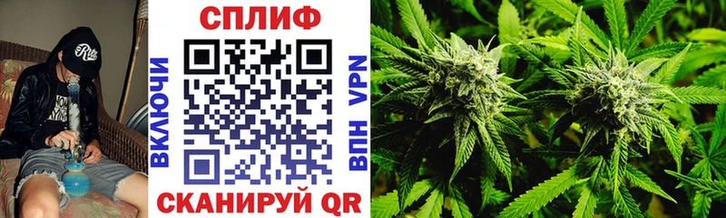 блэк спрут ссылка  Алапаевск  Марихуана Ganja 
